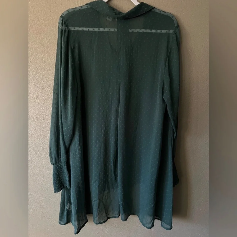 Caffe Marrakesh Sheer Button Up Swiss Dot‎ Long Sleeve Hunter Green Blouse 1X
